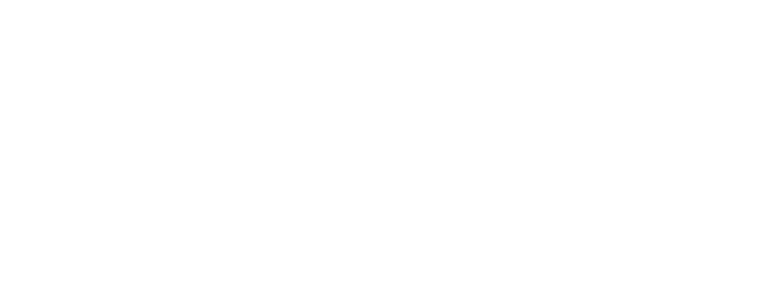 ArubaSalsa Dance Company