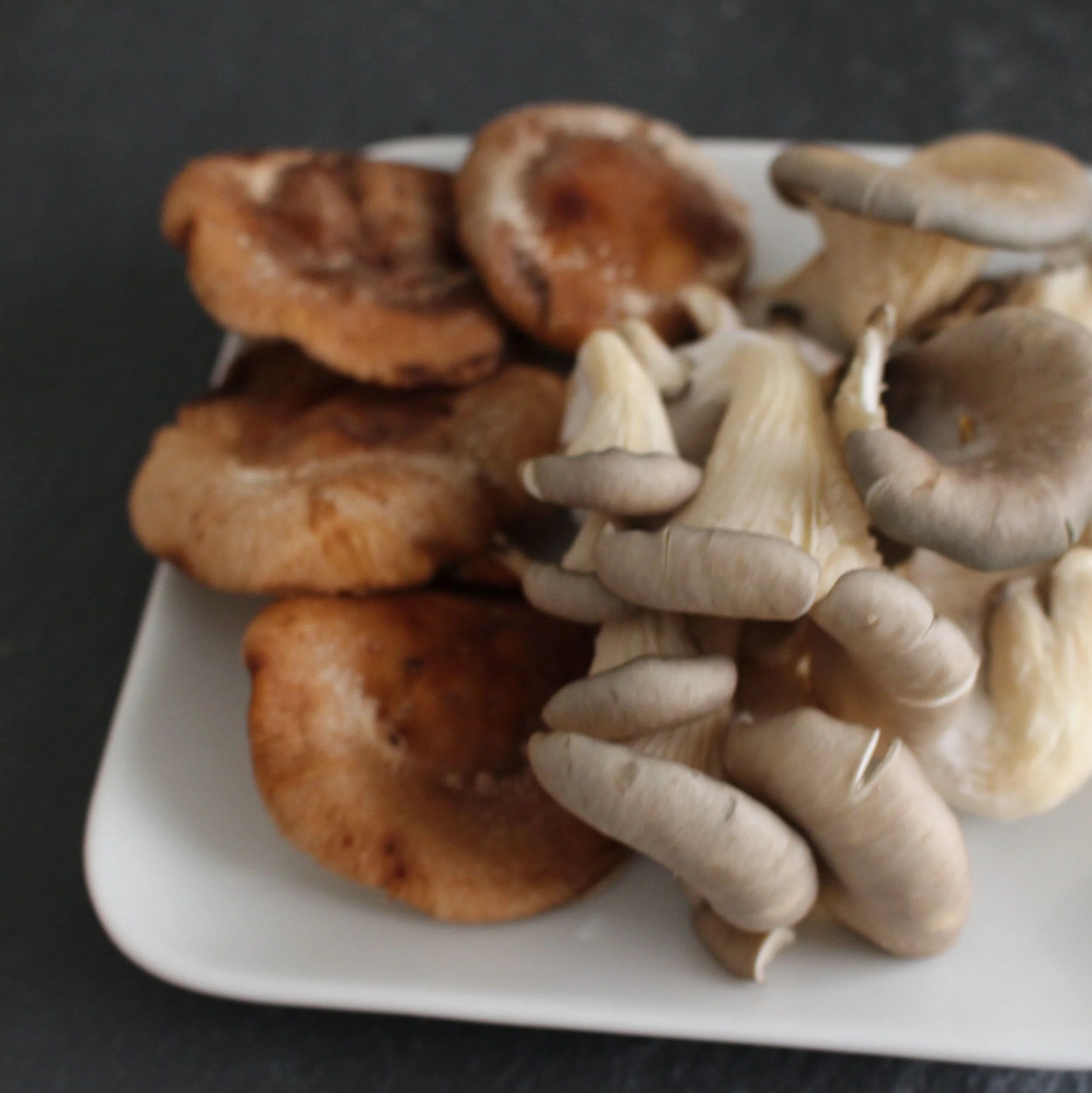 oyster and shiitake mushrooms + fish sauce = umami bomb