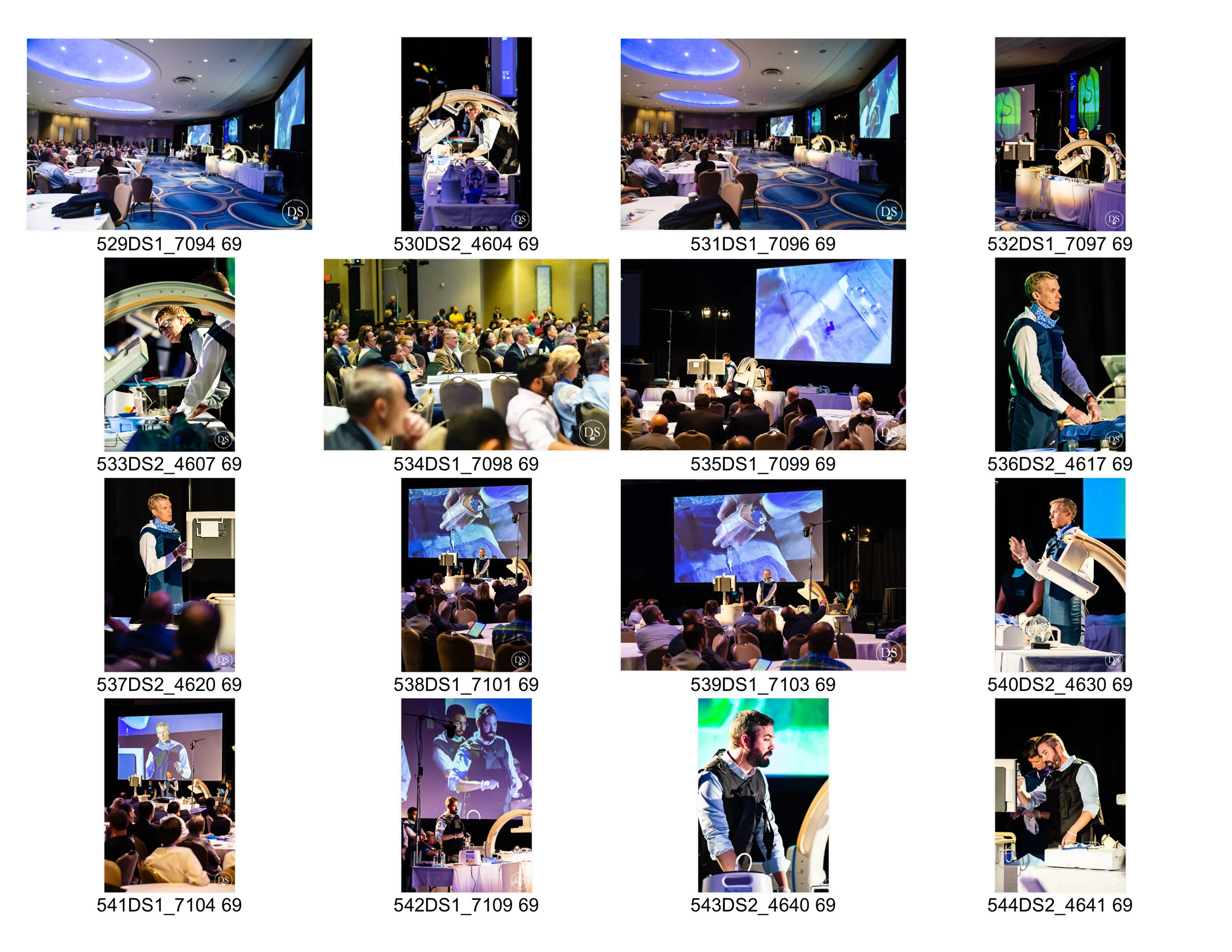 SNIS 2019-34.jpg