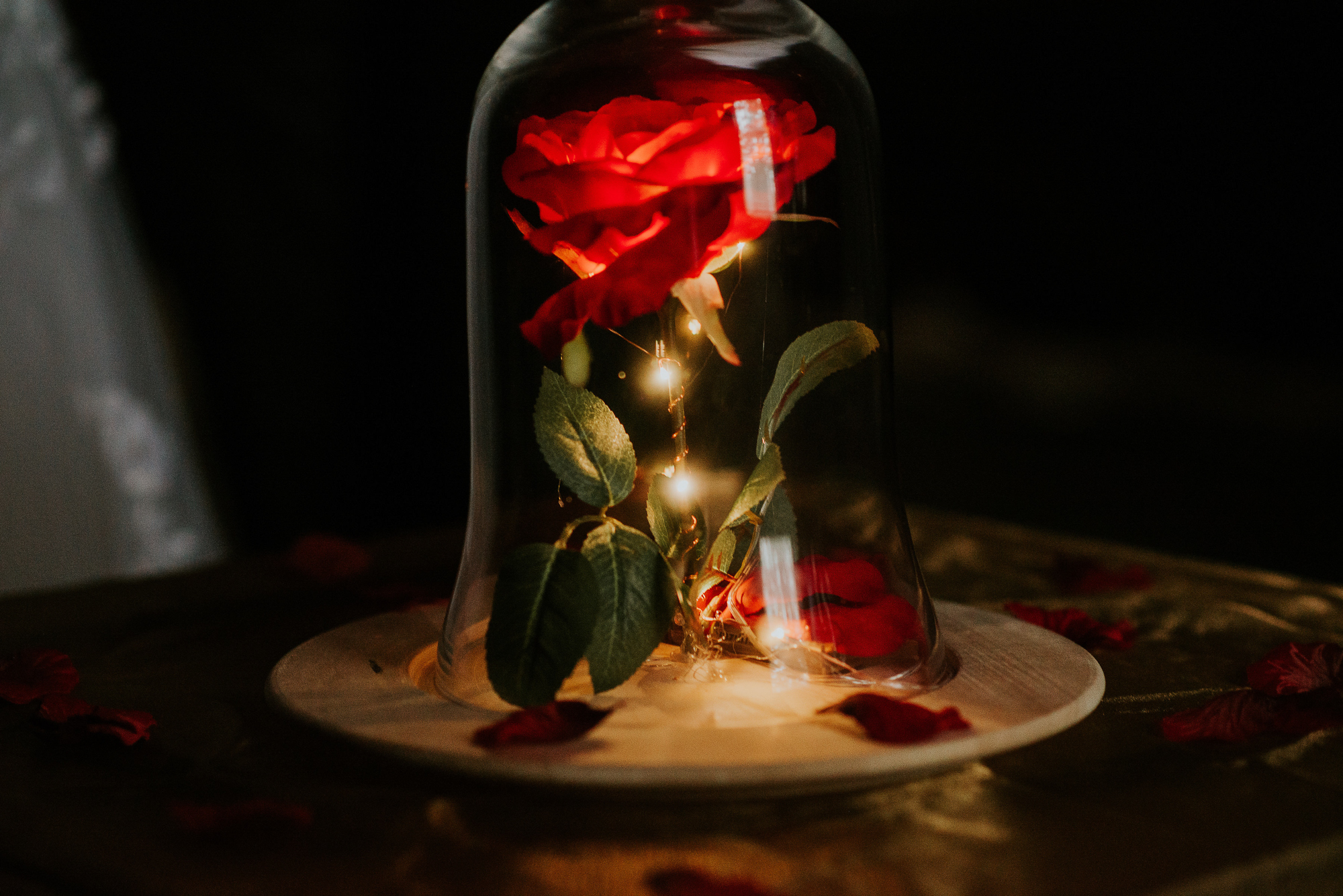 Beauty and the Beast Themed Wedding | Miss Lyss Photography | www.misslyssphotography.com