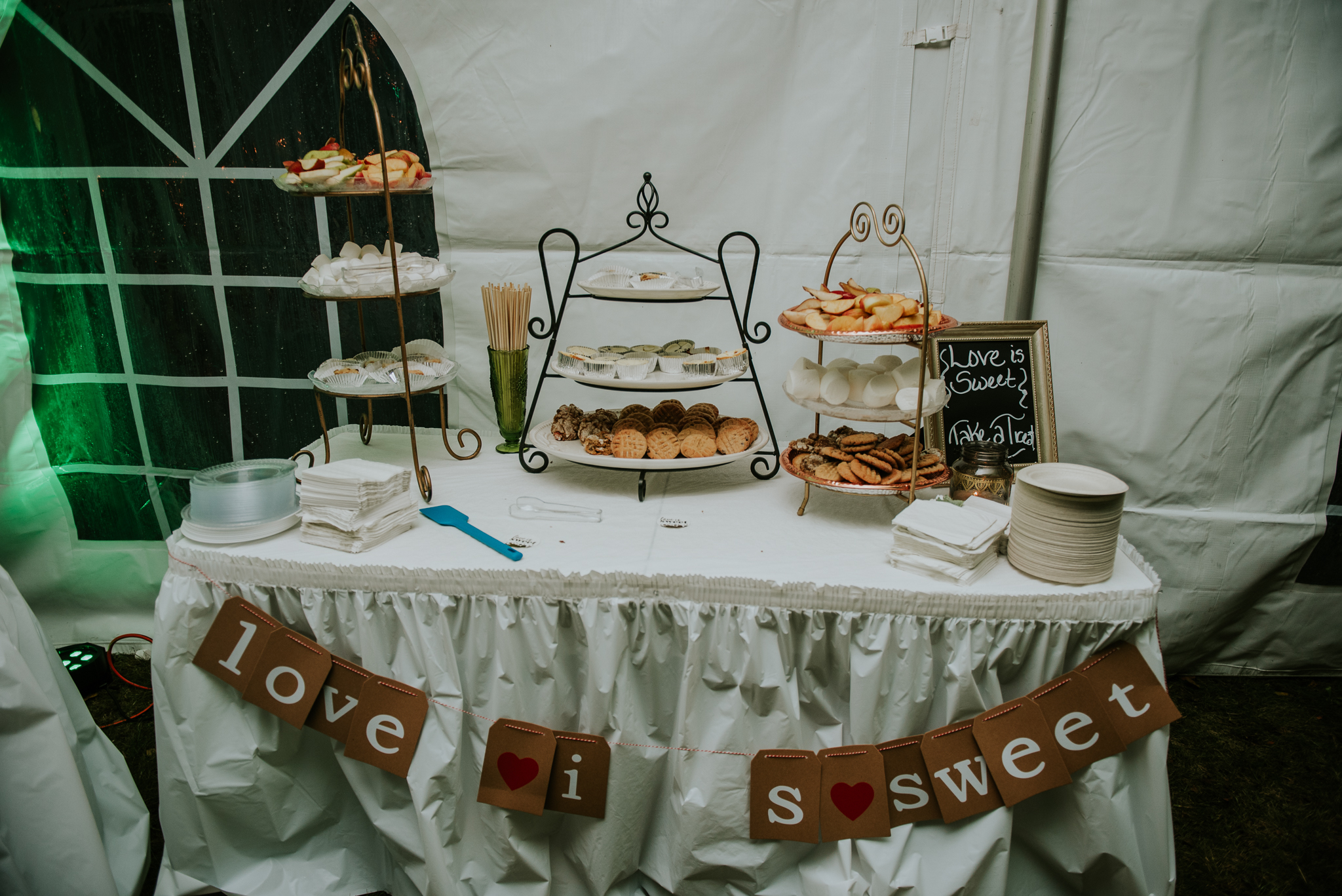 Byron Michigan Wedding | Miss Lyss Photography | www.misslyssphotography.com