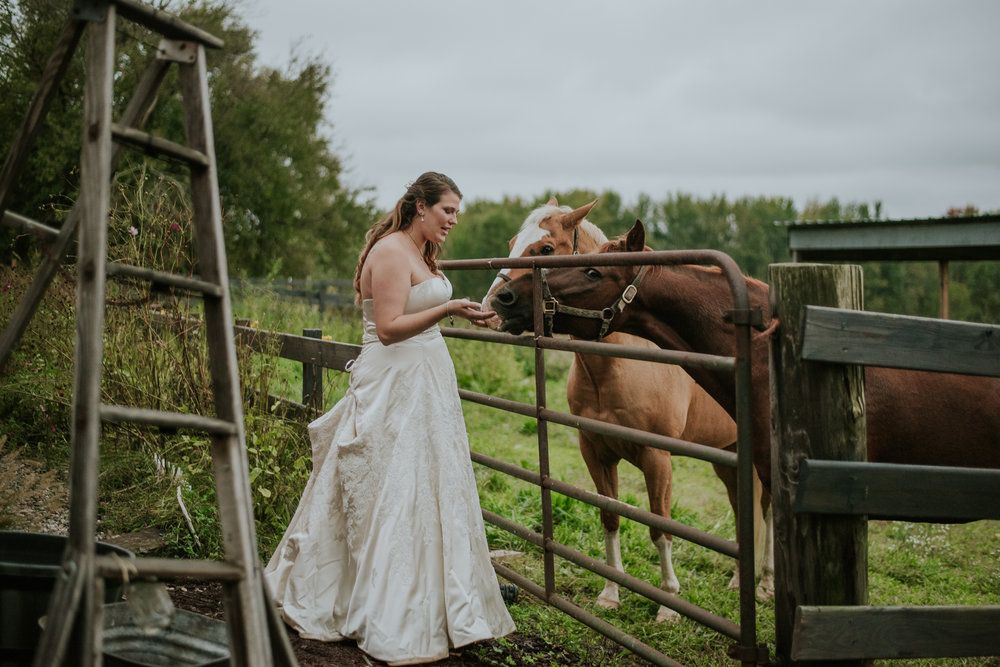 Something Blueberry Barn | Bangor, MI | Miss Lyss Photography | www.misslyssphotography.com