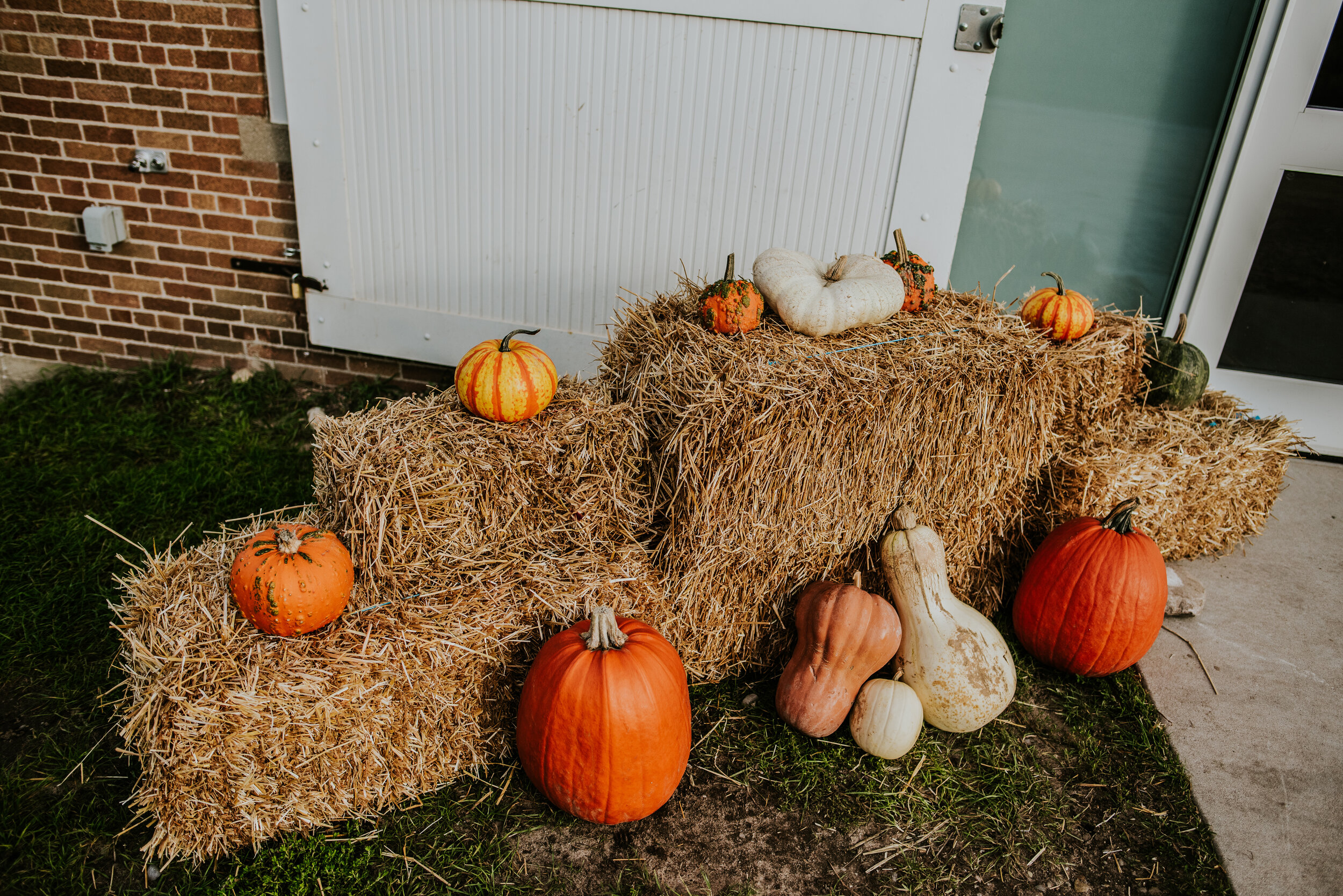 The Cathedral Barn | Traverse City, MI | Miss Lyss Photography | www.misslyssphotography.com