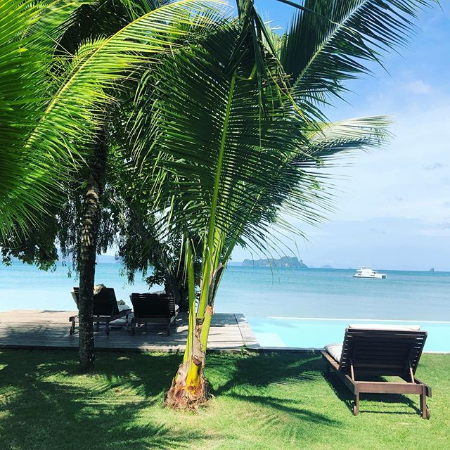 🌴 🥥 🐟 🍲 🍚 🦎 🦜 🐸 🐛
I love everything about this place but that shower is killer. It&rsquo;s like you&rsquo;re showering in Wing Haven.