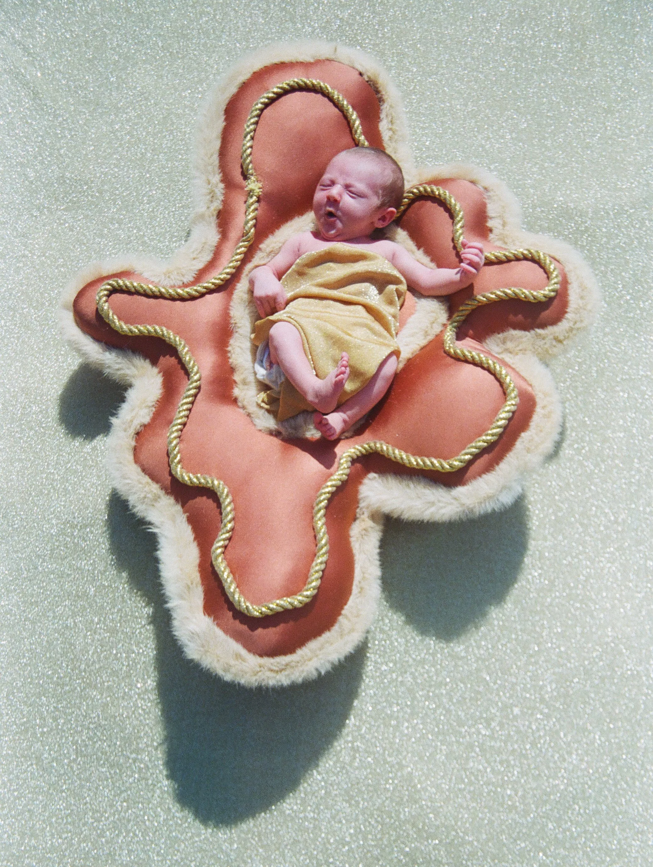 6. Piccolina Saturn.jpg