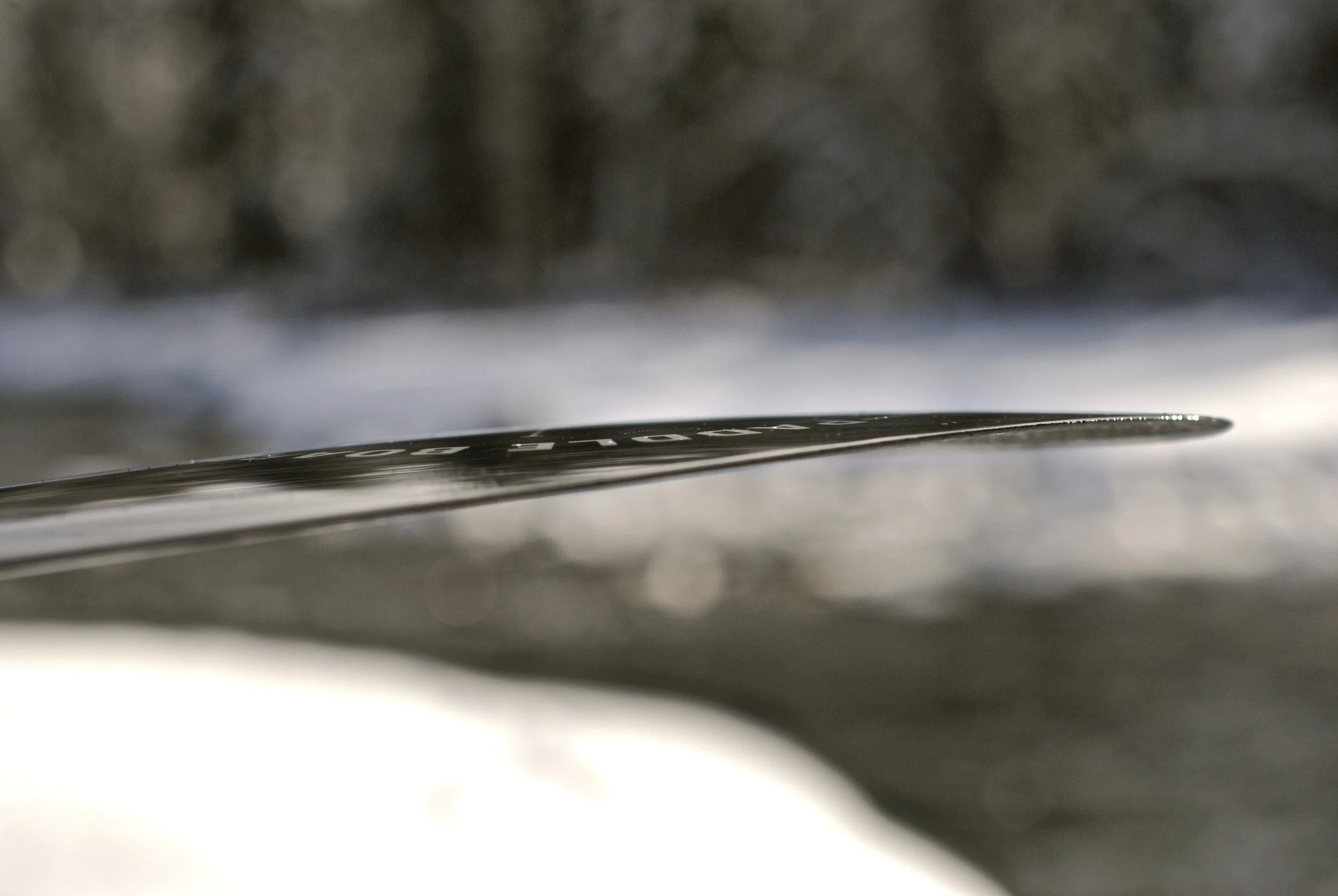 DSC_1576.jpg