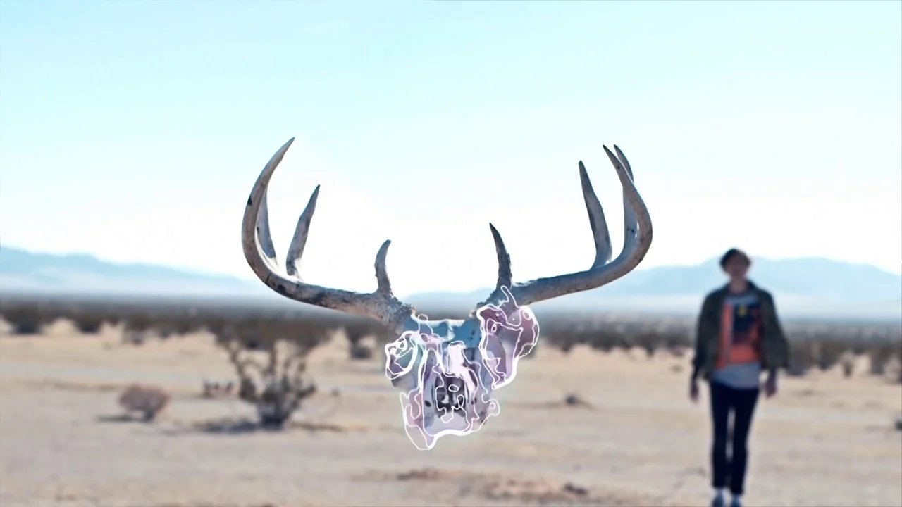 Painted Palms -- Forever