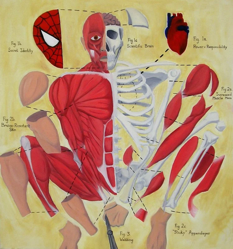 anatomy of spiderman.jpg