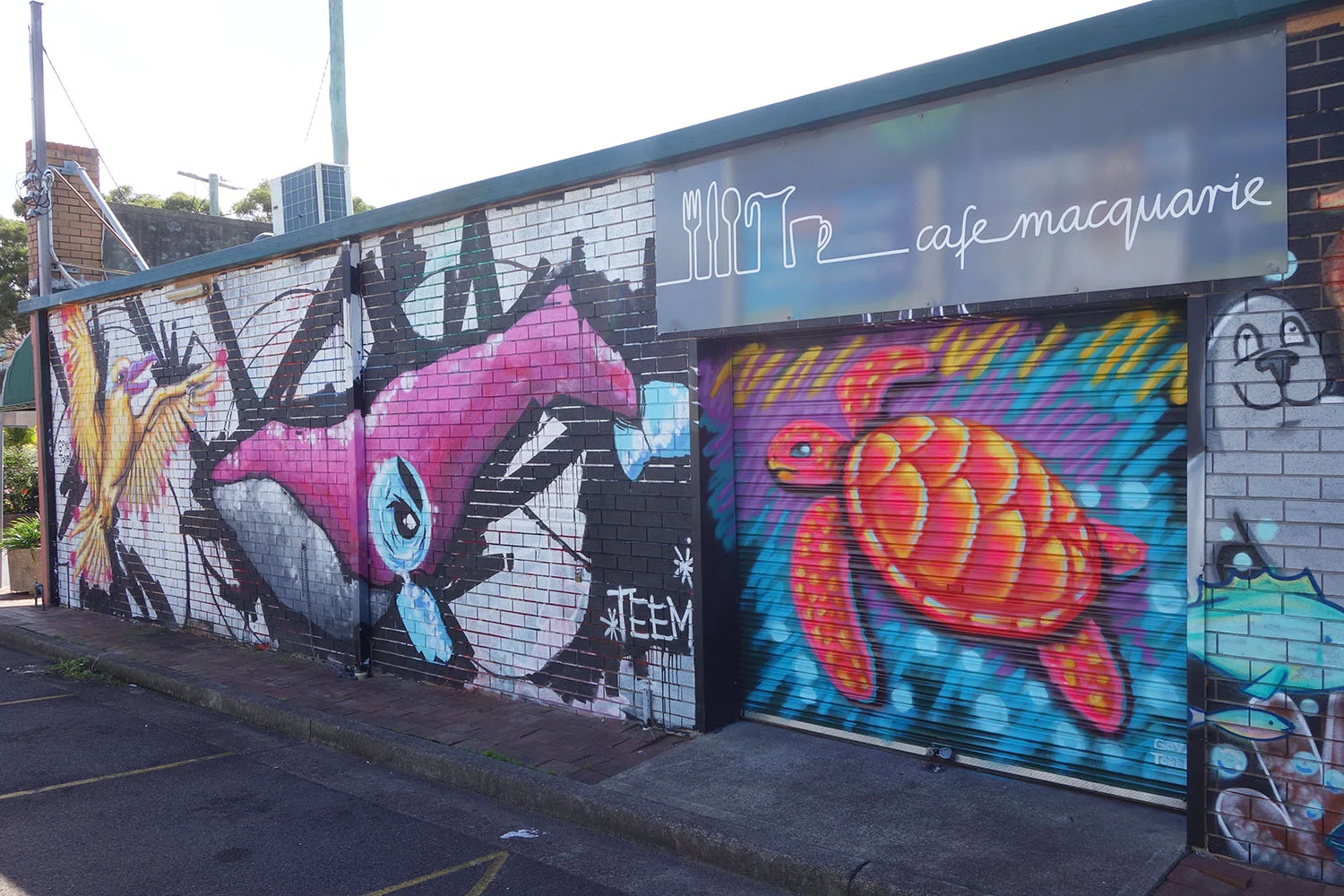 CafeMacquarie_Turtle_GoyaTorres_2016_1.jpg