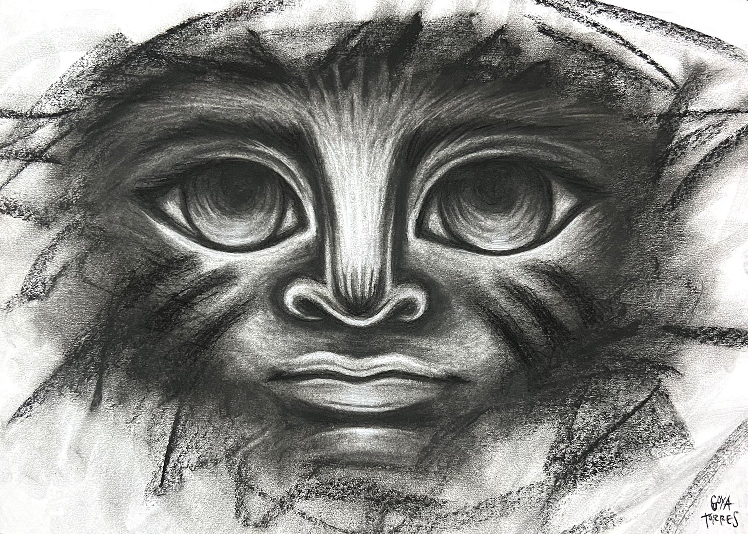 GoyaTorres-Espiritu.jpg