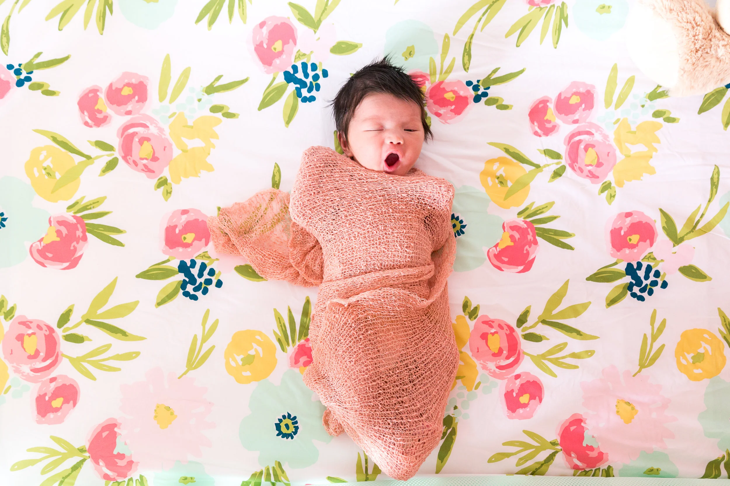 Delilah 2017-28.jpg