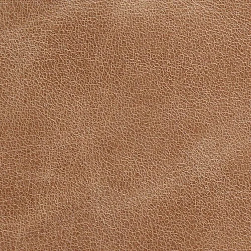 Sahara