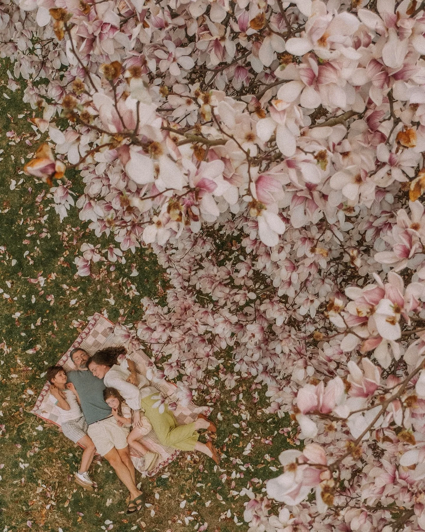 IT'S FINALLY SPRING!!
