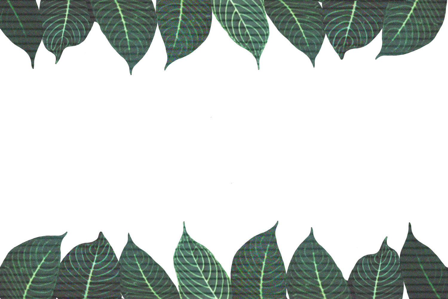 WEB BANNER NO PHIL (2021).png