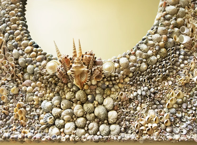 Detail Shell mirror