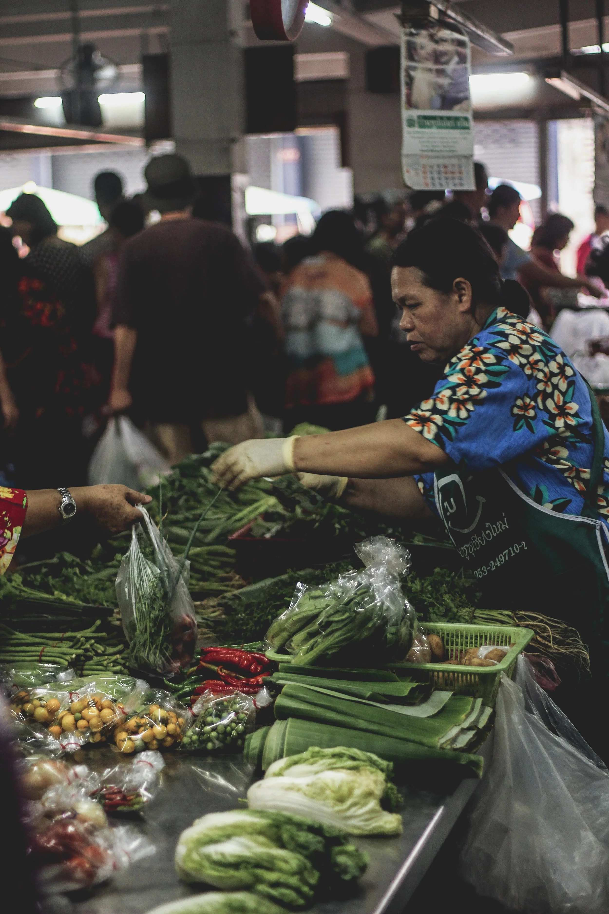 Chiang Mai, Thailand