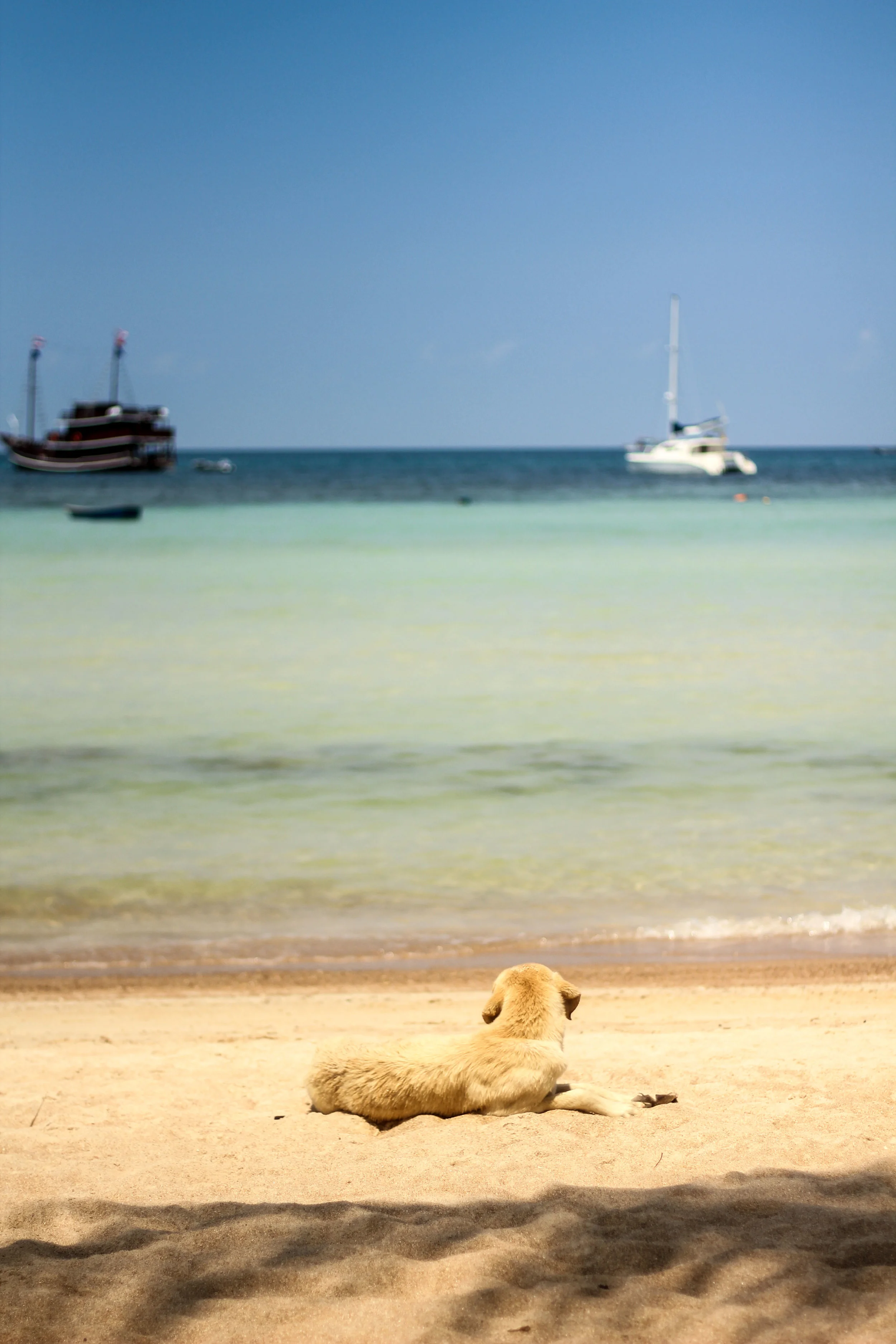 Koh Tao, Thailand