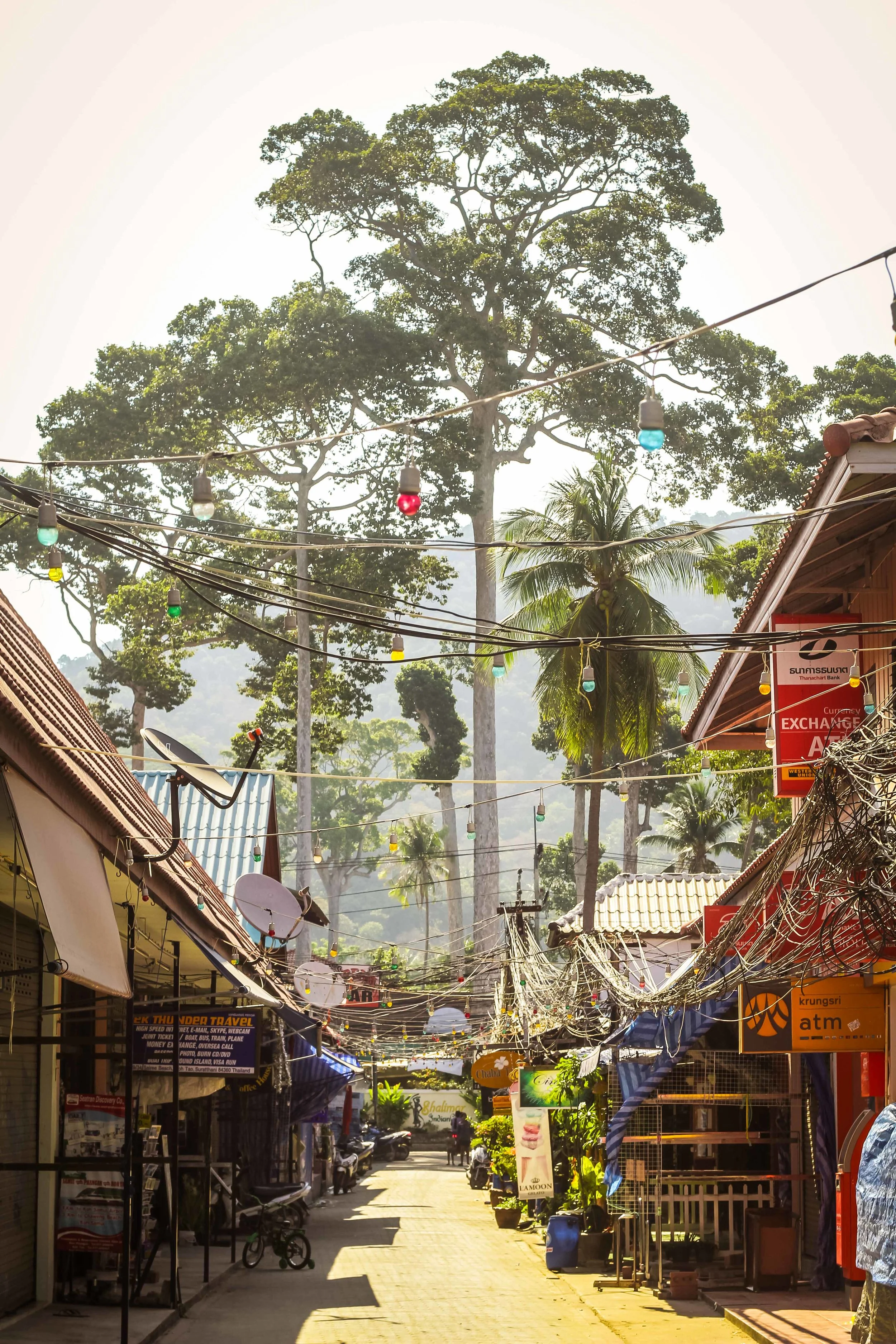 Koh Tao, Thailand