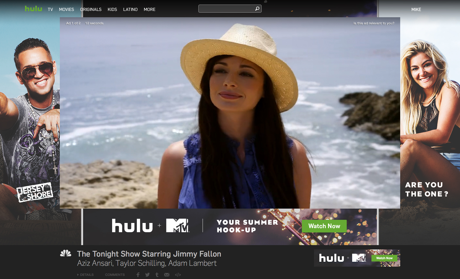 HULU-MTV-SKIN-944x531-1184x666-F-large.jpg