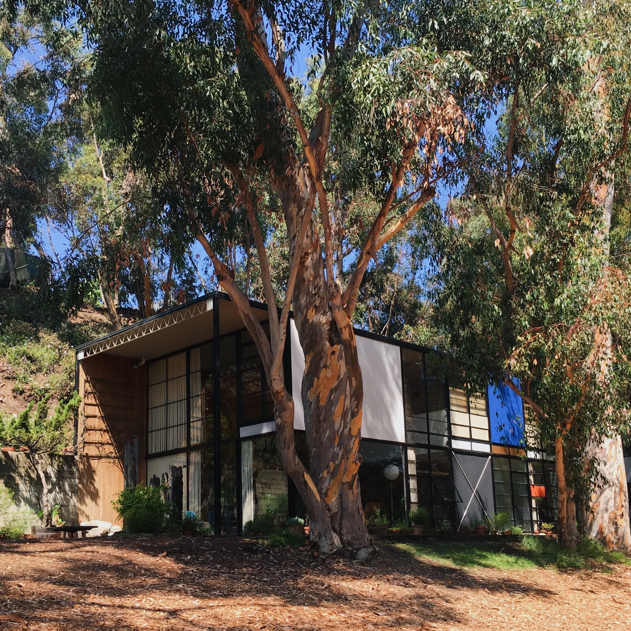 Journal: Los Angeles Museums & Architecture