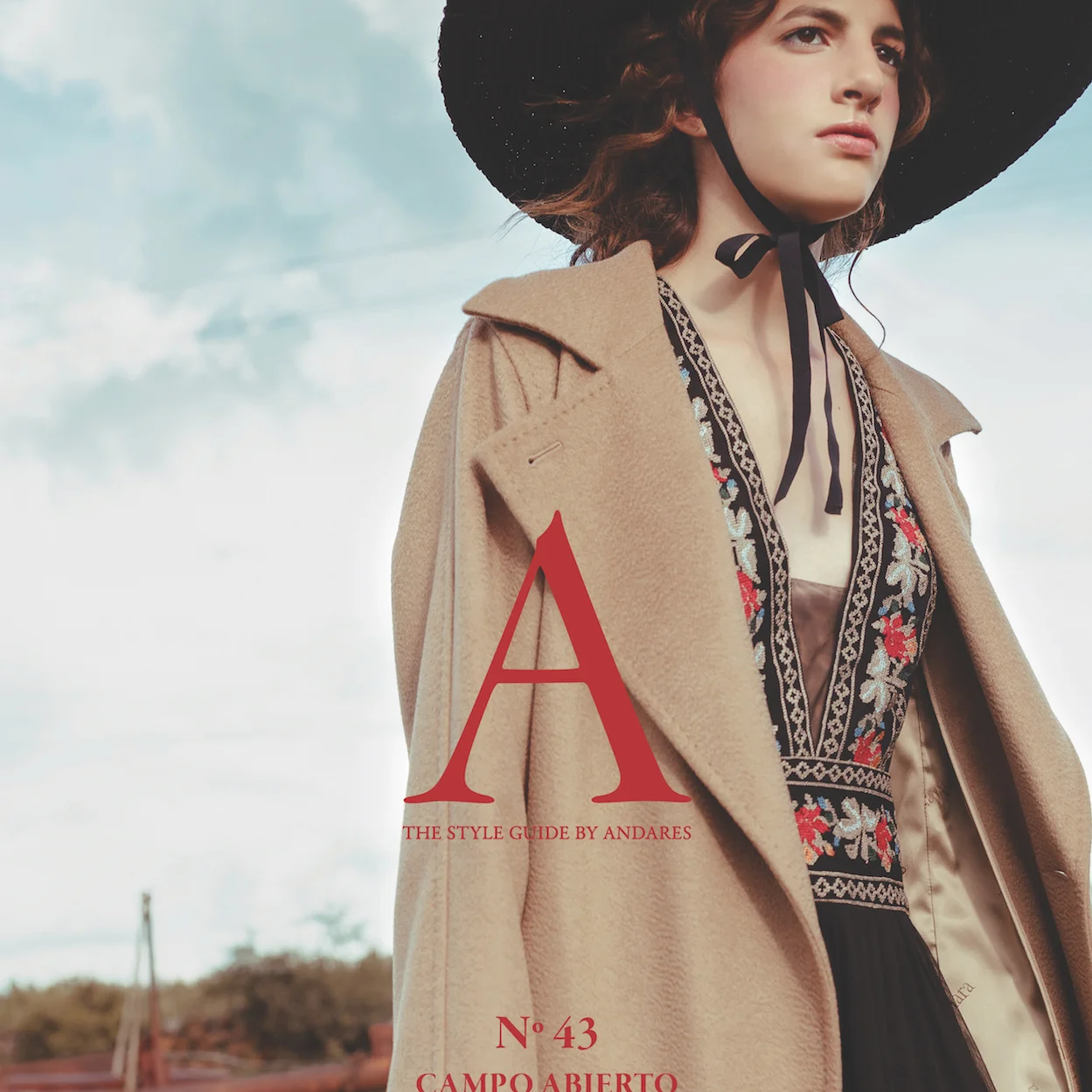 Diseño Conceptual para la Revista Andares 