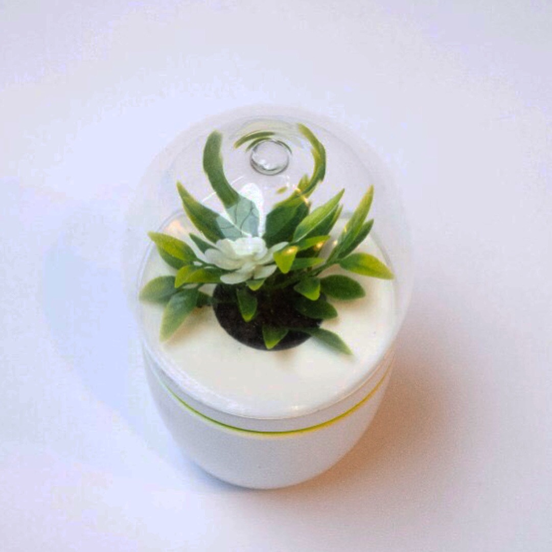 Office Futures Project with CEDIM Students