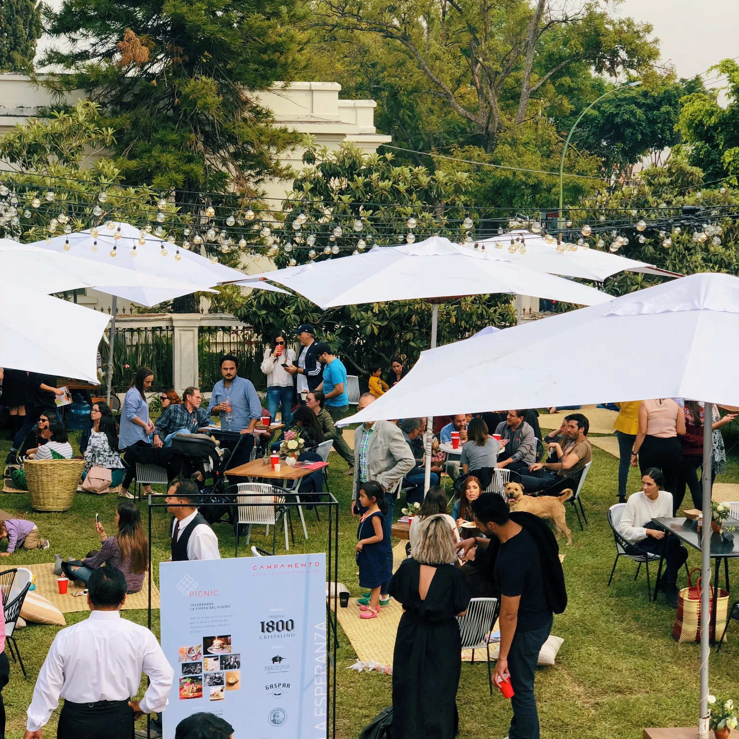 CAMPAMENTO FERIA DE DISEÑO MEXICANO 2018