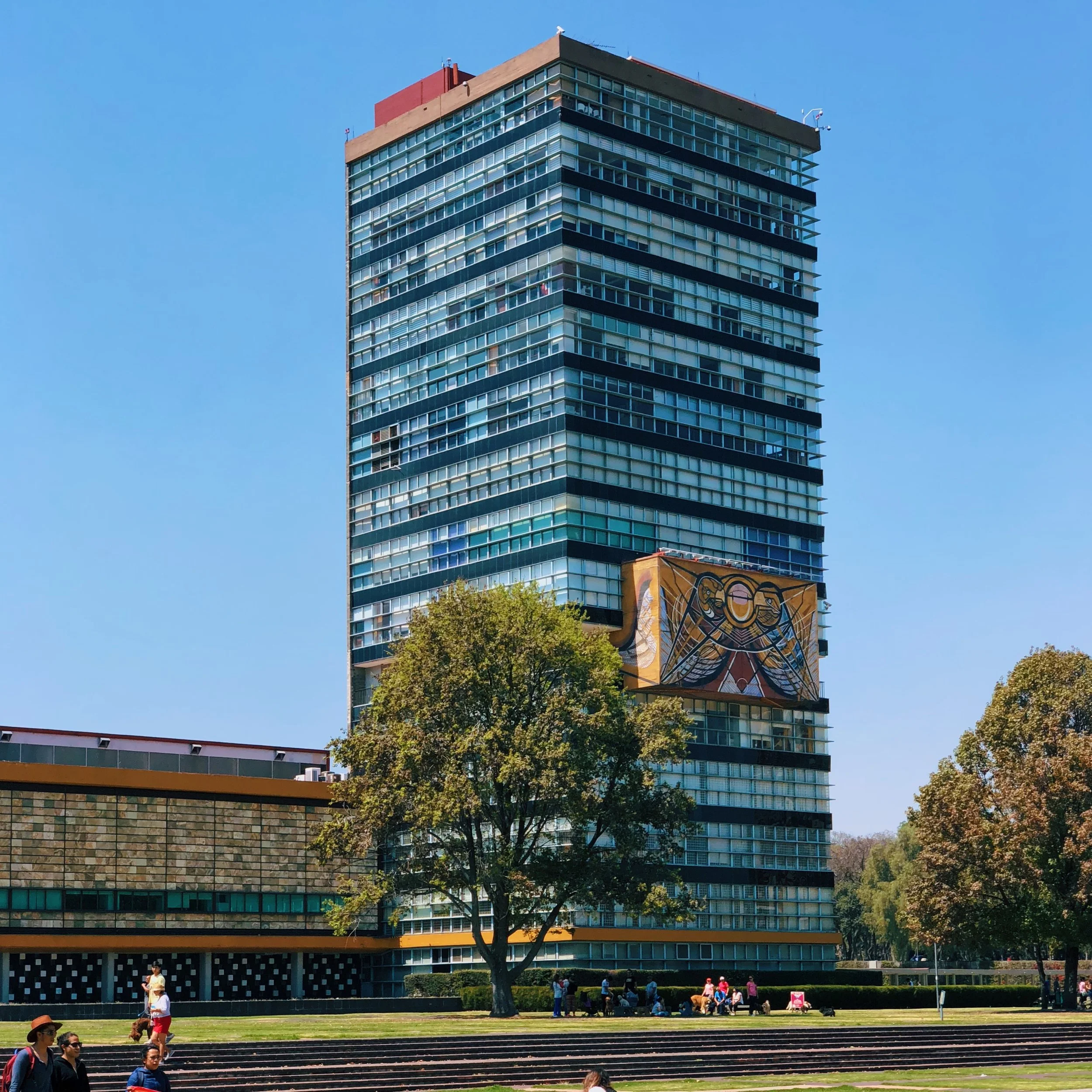JOURNAL: STROLLING THROUGH UNAM