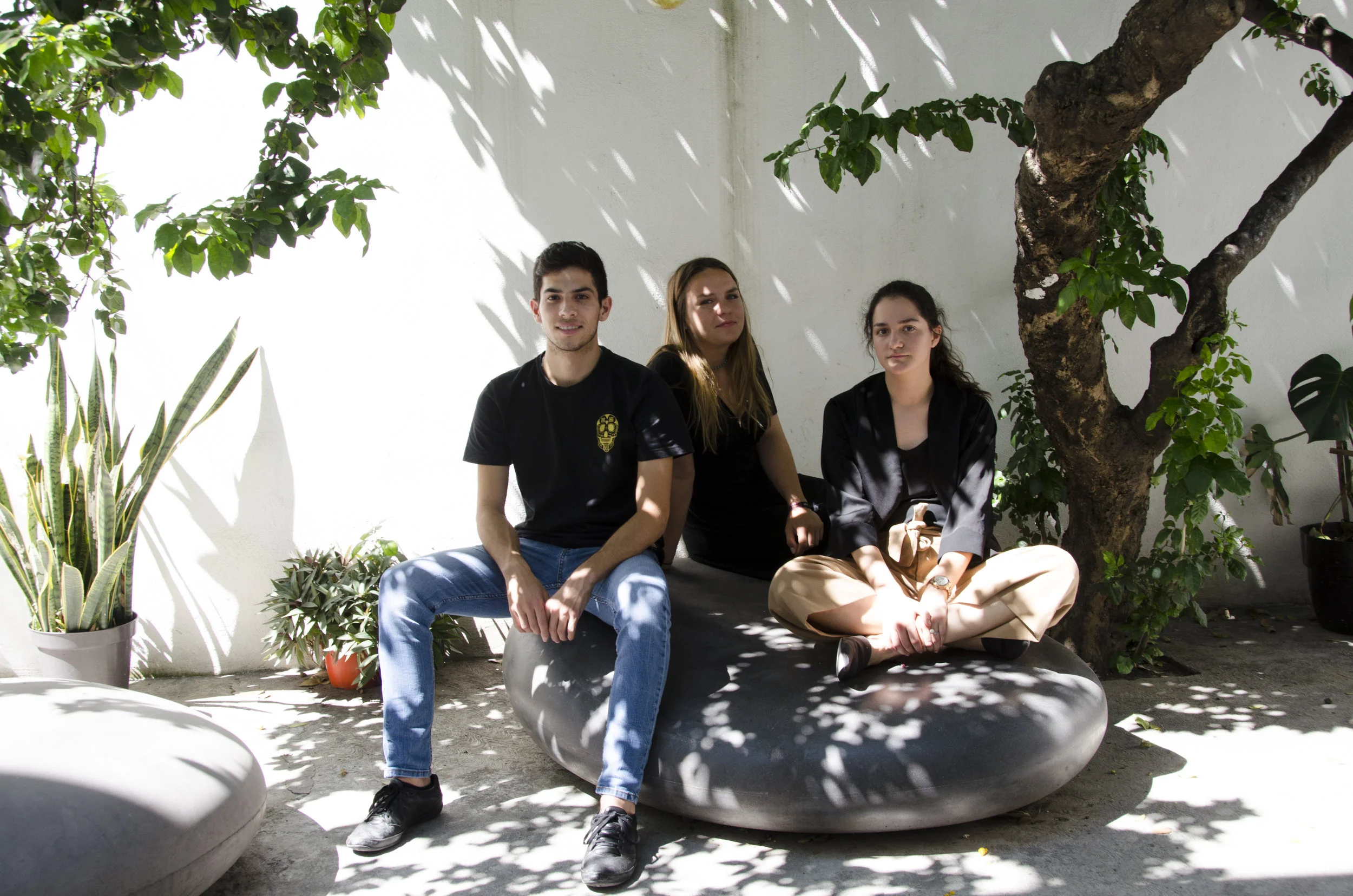 New interns joining the crew! 