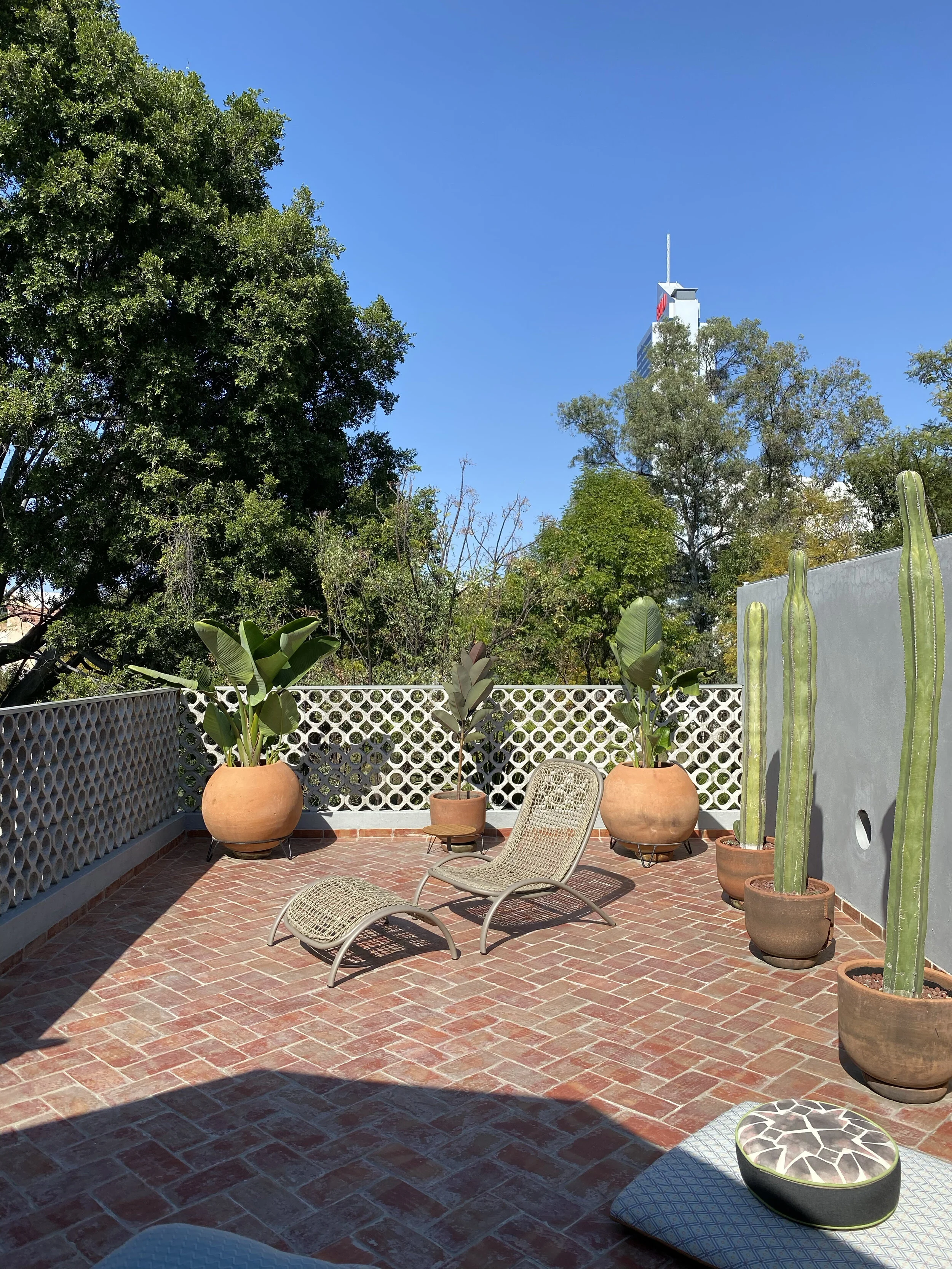 EXHIBITION: Zavotti at Guadalajara