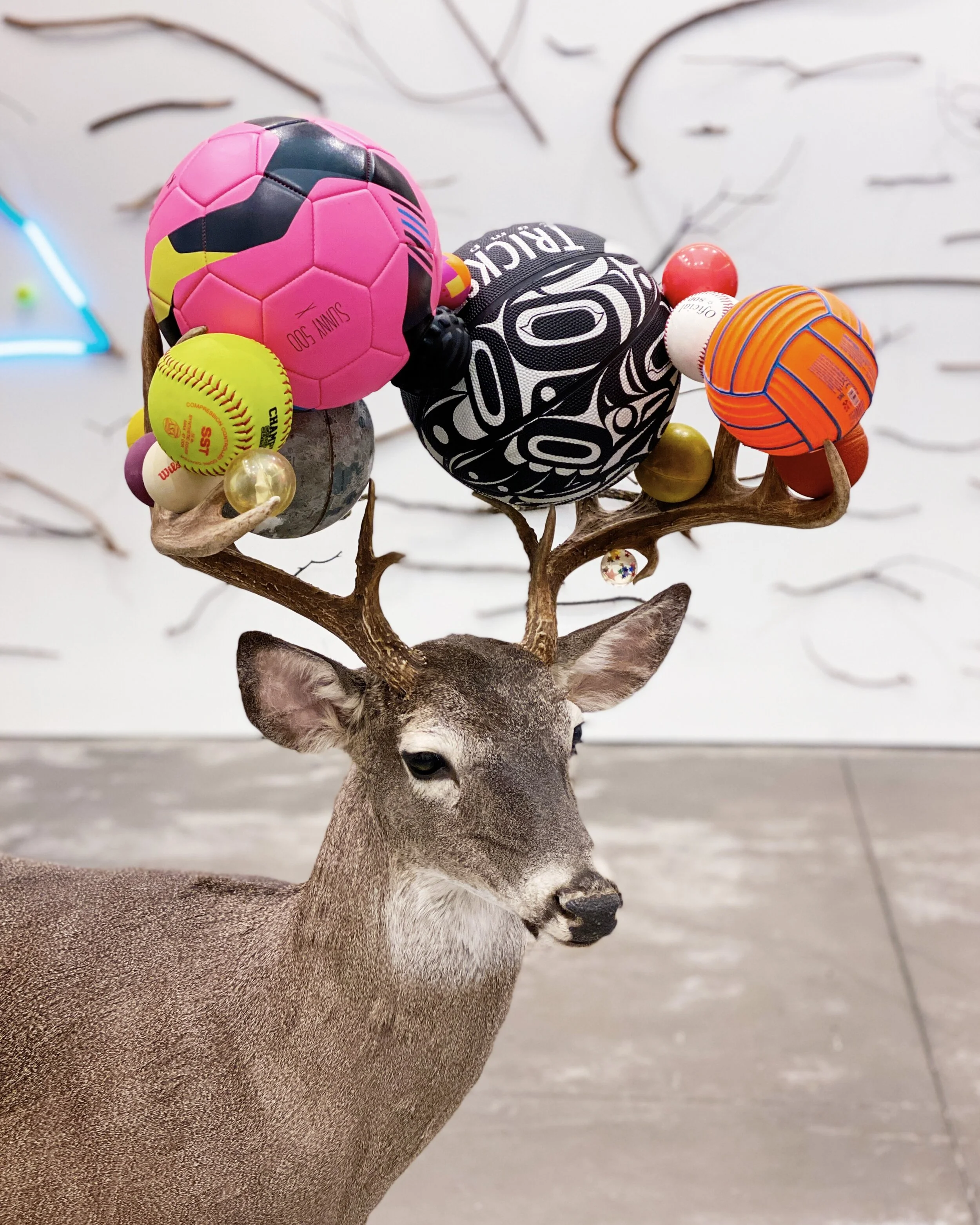 Galería | Semana del Arte CDMX