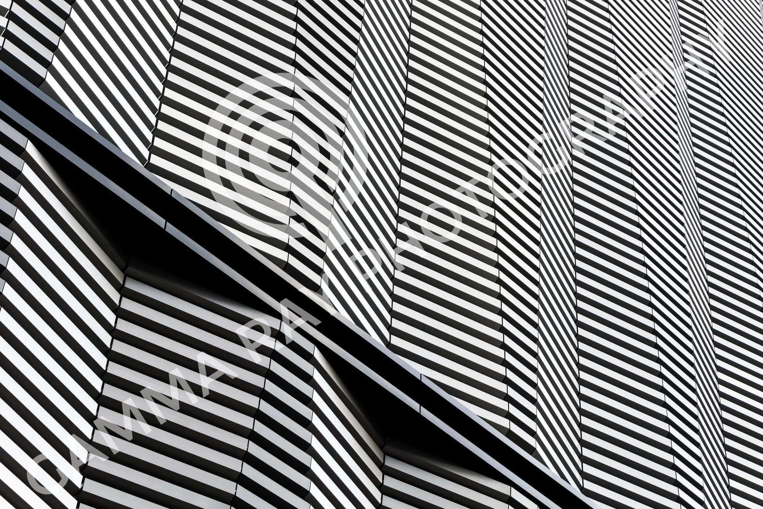 black and white.jpg