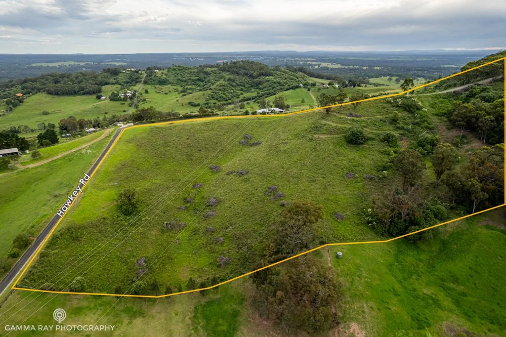 menangle.jpg