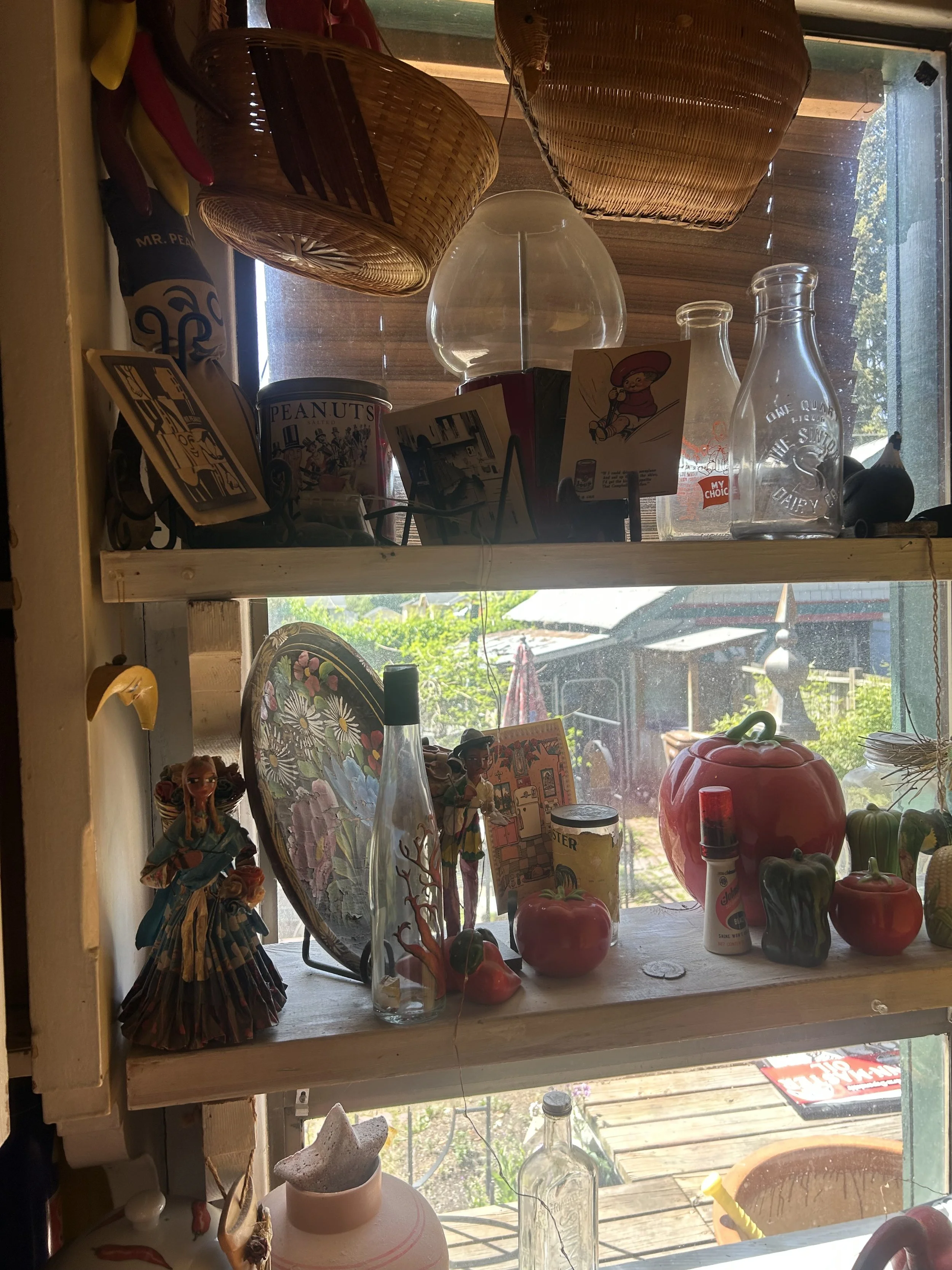 IMG_7234.jpeg
