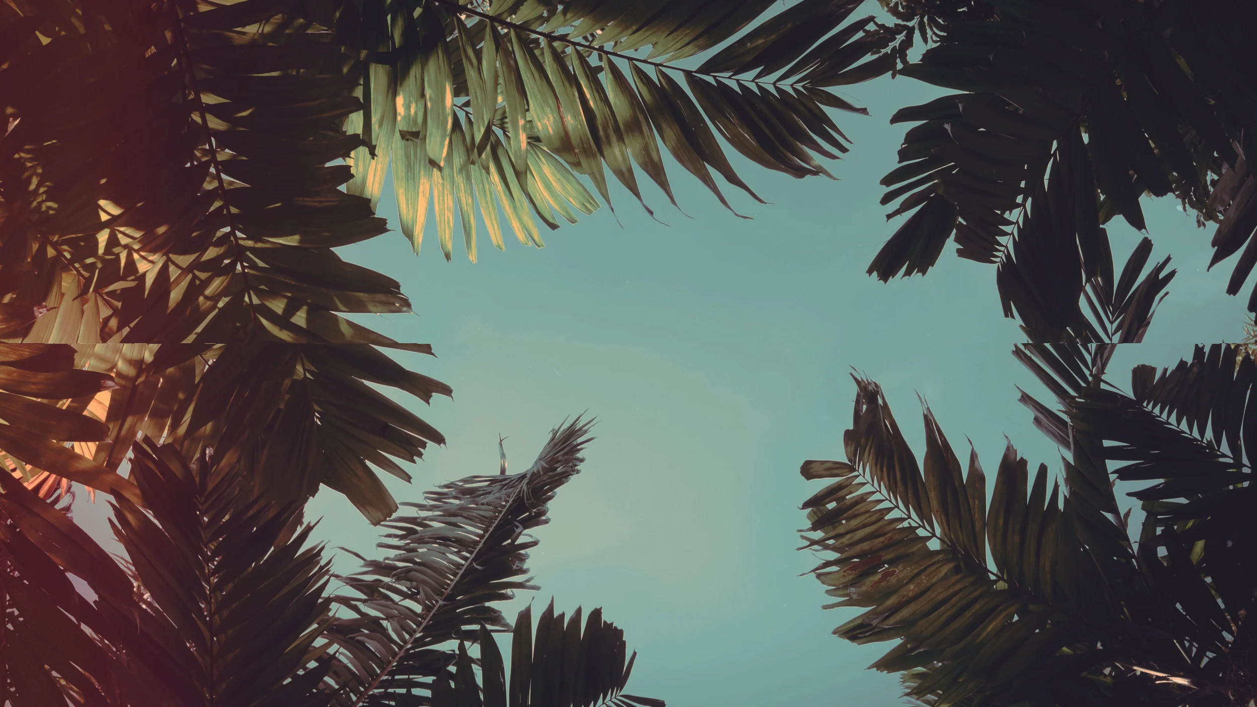 palm_sunday-PSD.jpg
