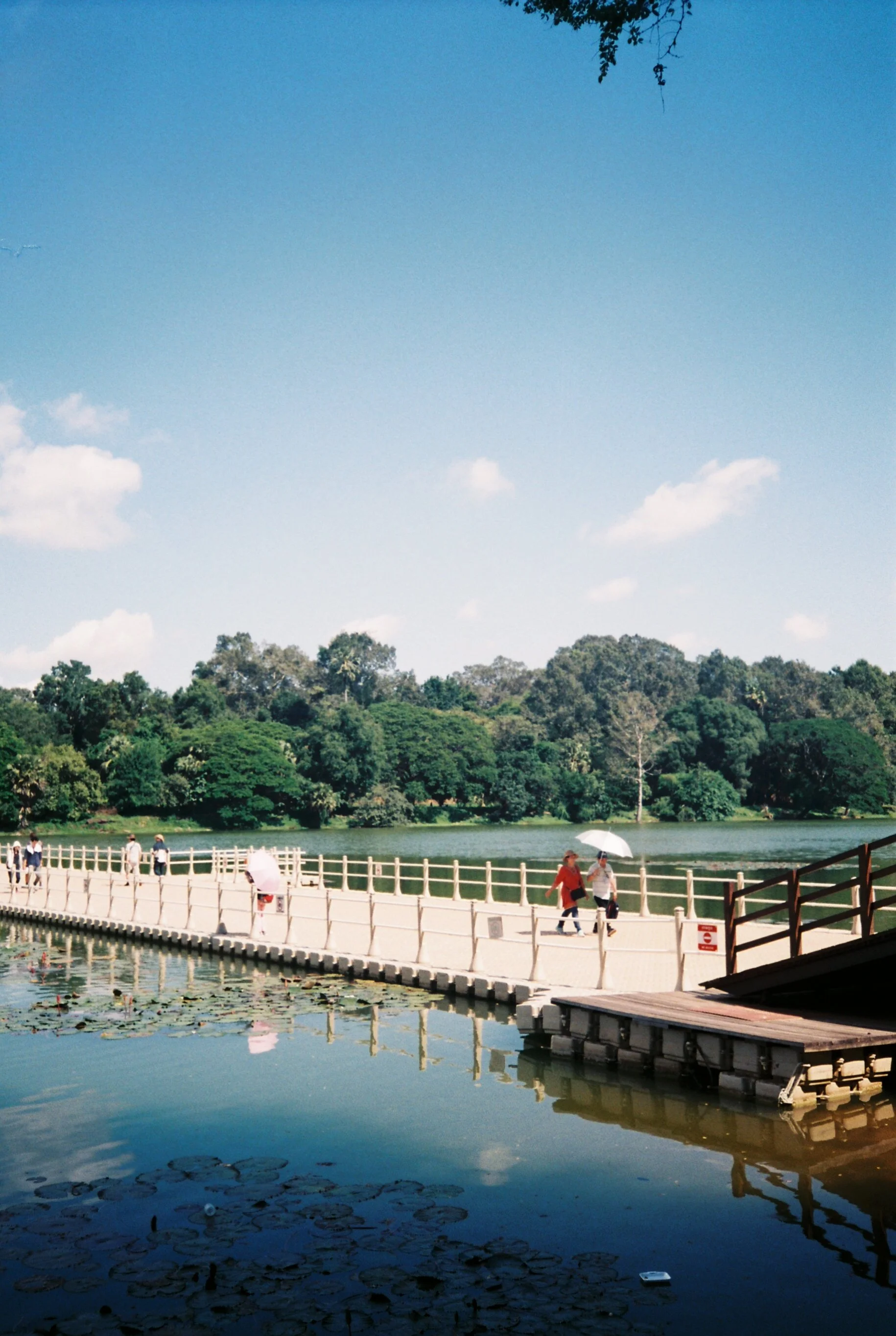 0hal257_0hal257-R5-025-11.jpg
