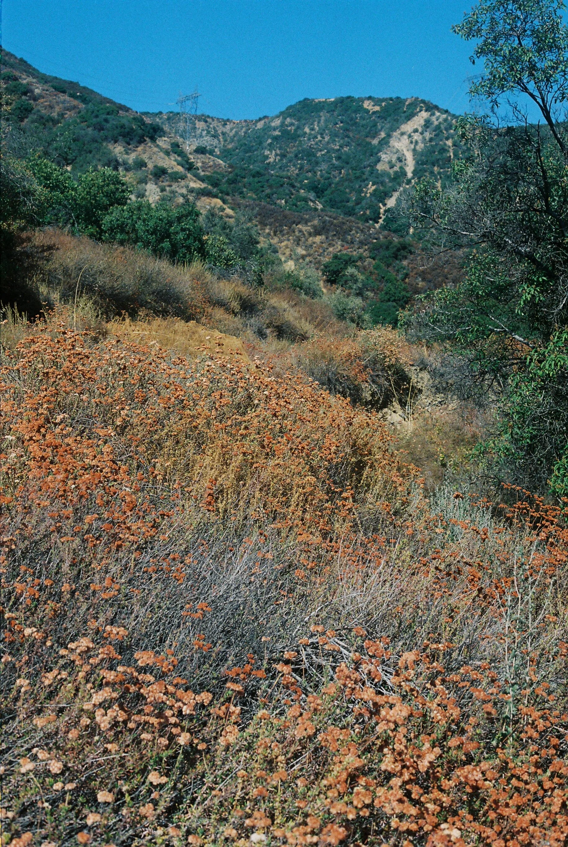 0hal776_0hal776-R2-067-32.jpg