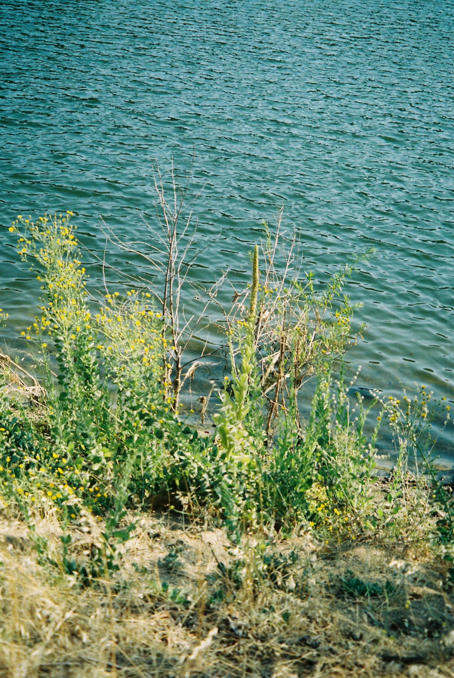 204_w_holiday_scenic_007.jpg