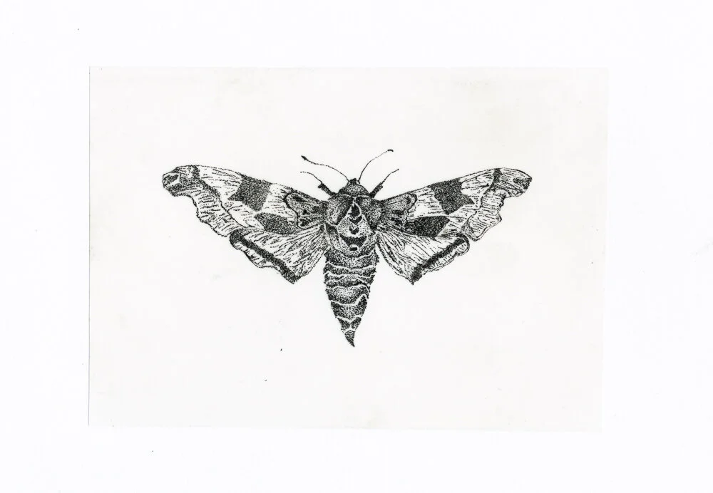 Scan 28.jpg
