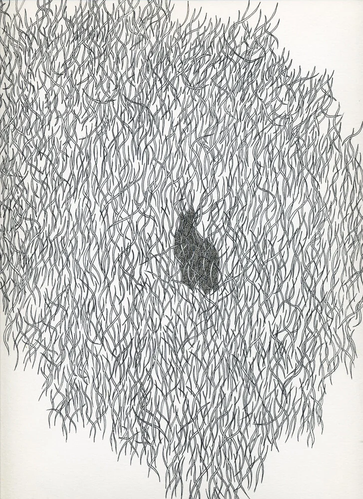 Scan 58.jpg