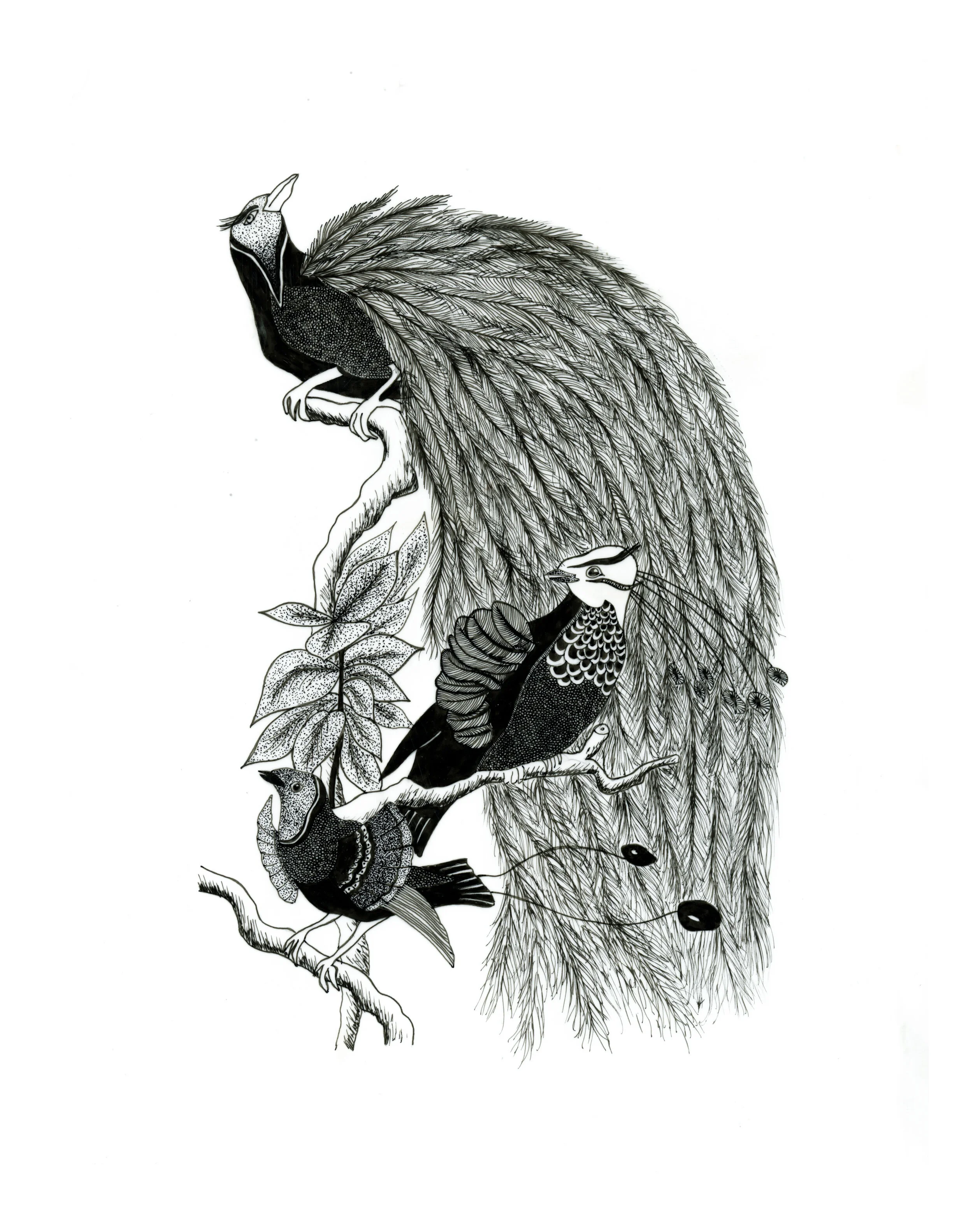 Scan-11.jpg