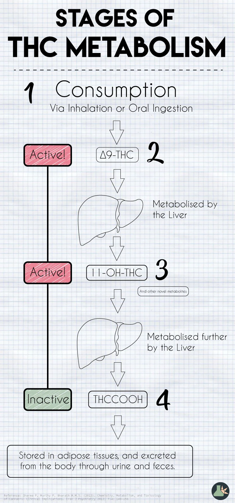  It should be noted that there are other metabolites produced as well, but in much less amounts. 