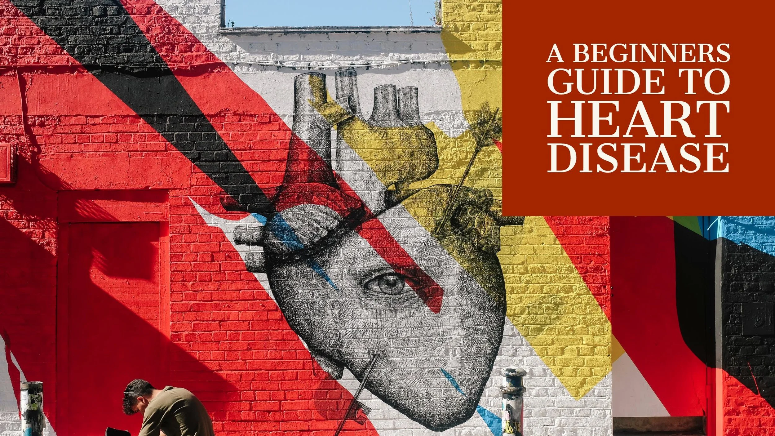 A beginner's guide to heart disease