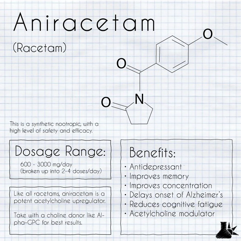 Aniracetam