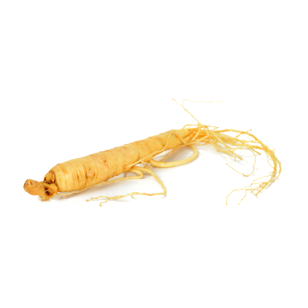 pfaffia root.jpeg
