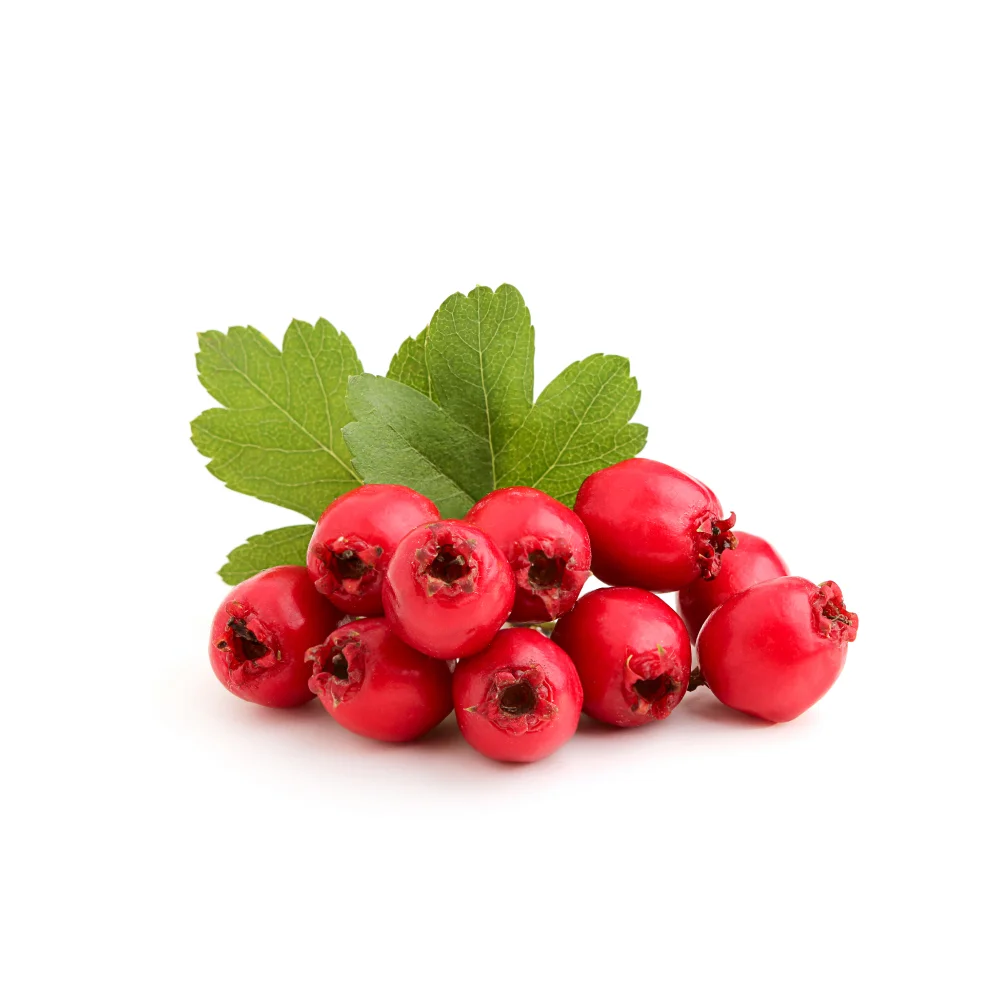 hawthorn-berries-and-leaves.jpg