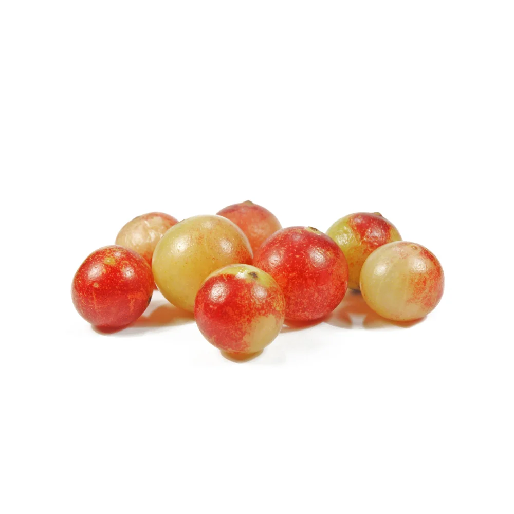 camu-camu.jpg