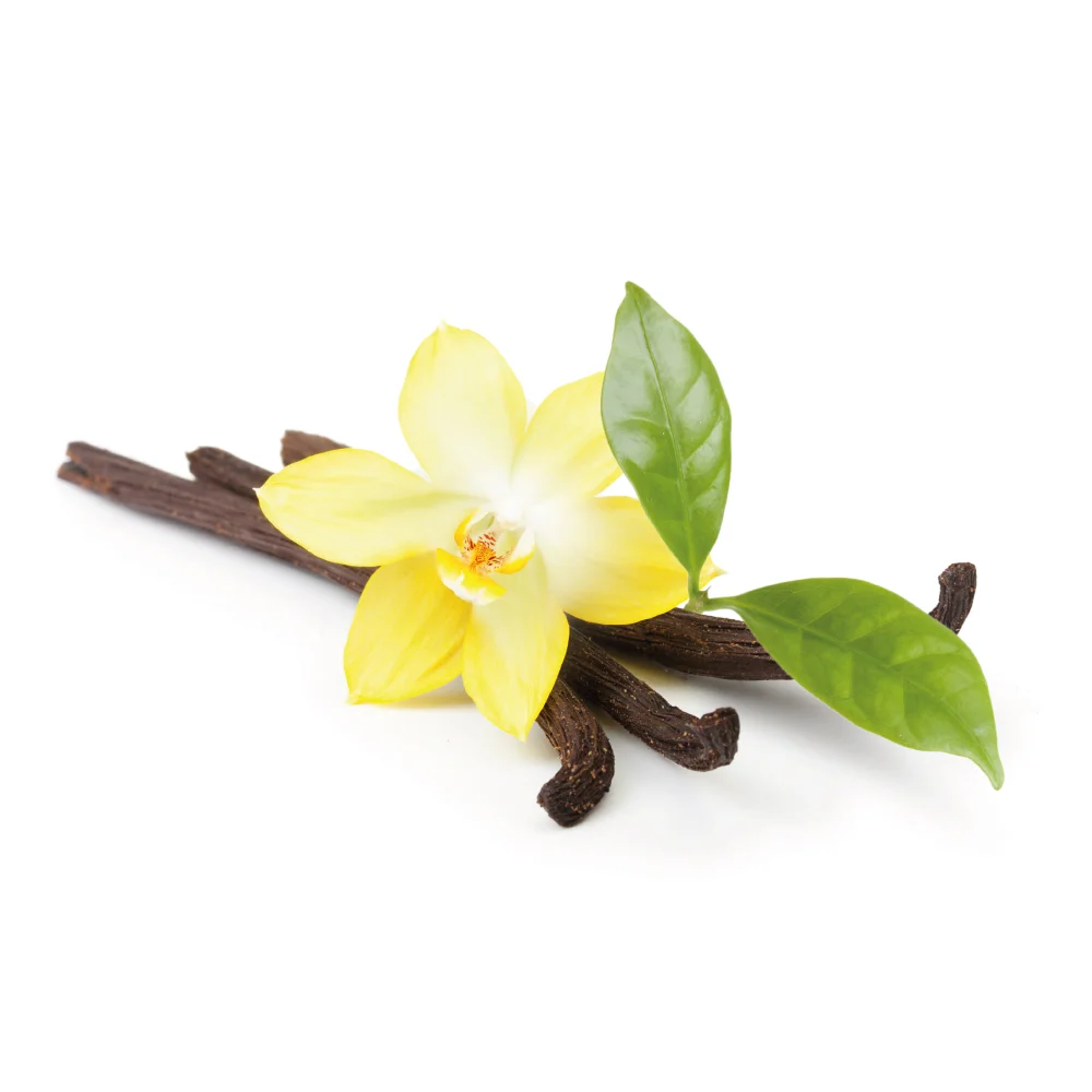 vanilla-planifolium-cover.jpg