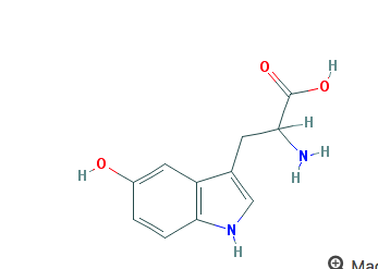 5-HTP