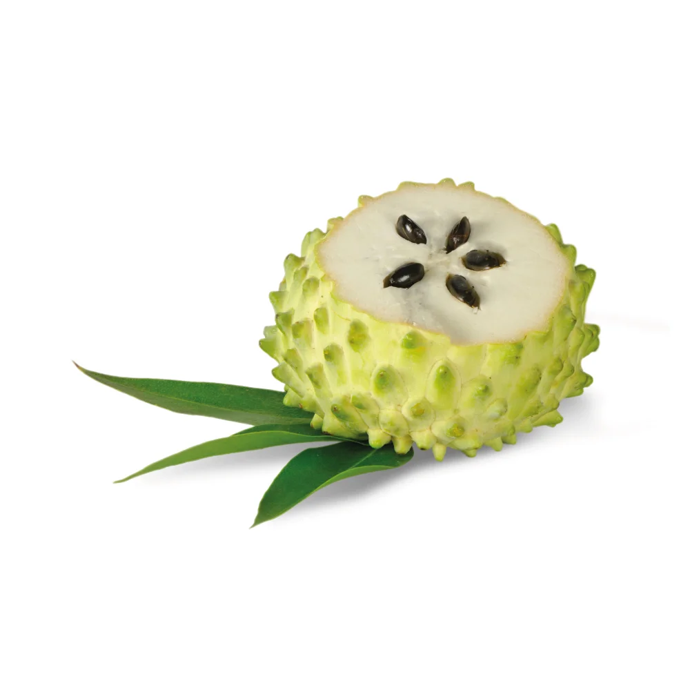 graviola-cover.jpg